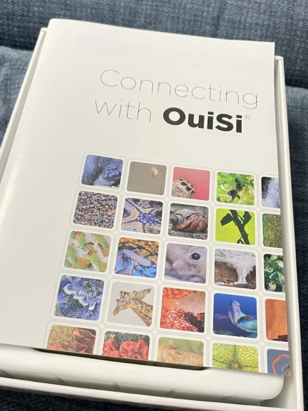 OUISI Nature Photo Cards -   Game of Visual Connection